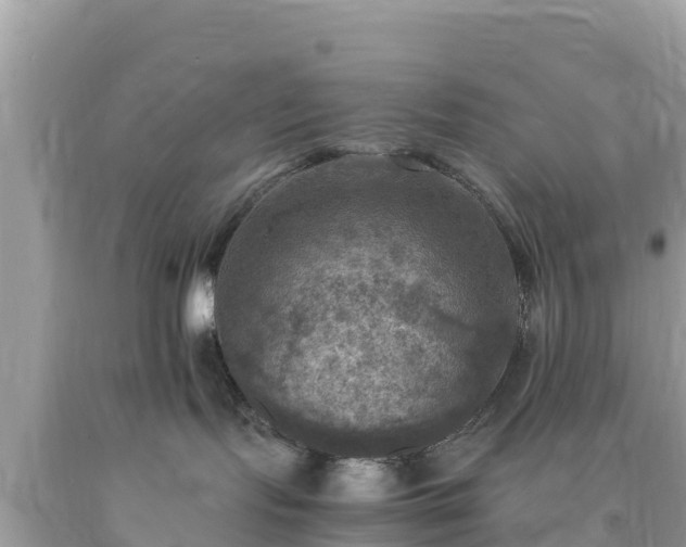 X0000093730095200710231200