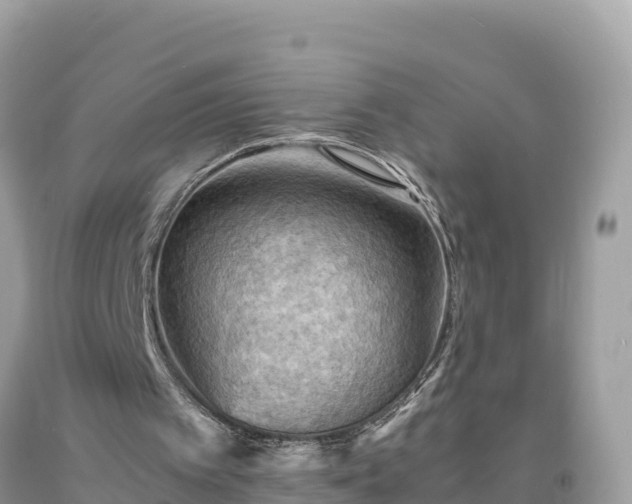 X0000093730097200710231159