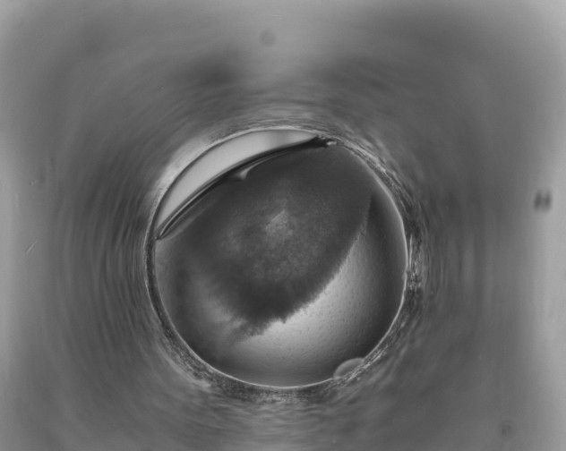 X0000093730099200710231159