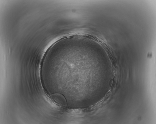 X0000093730100200710231159