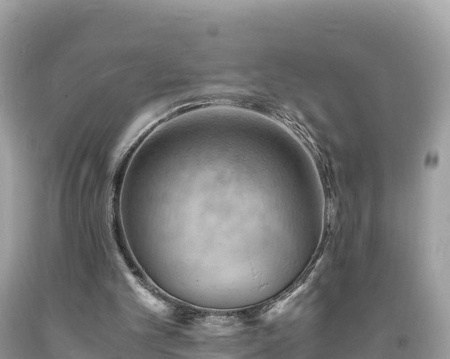 X0000093730101200710231159