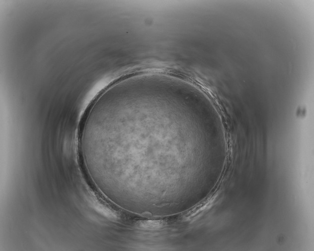 X0000093730102200710231159