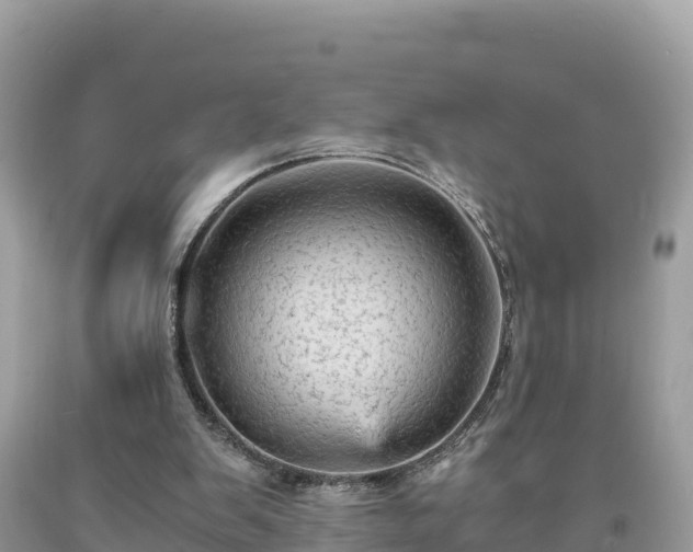 X0000093730103200710231159