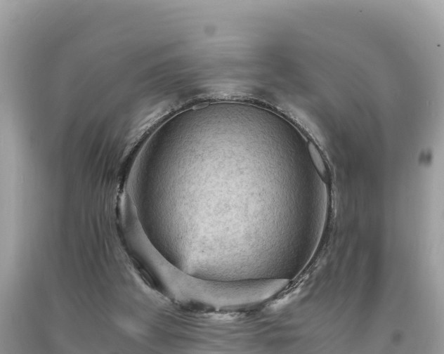 X0000093730105200710231159