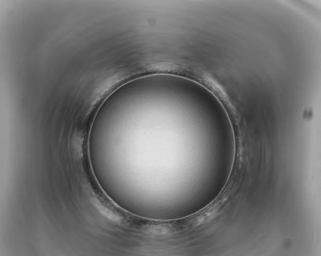 X0000093730106200710231159