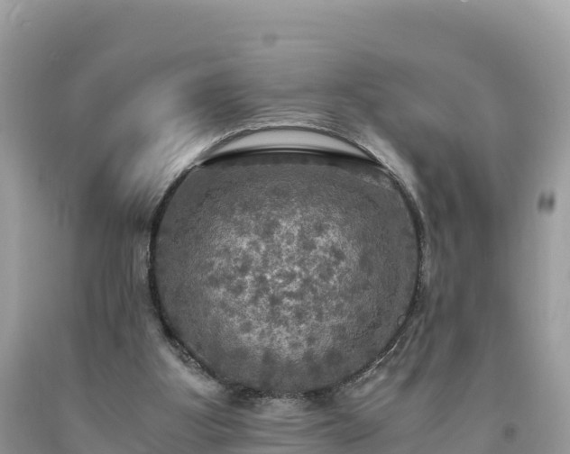 X0000093730107200710231159