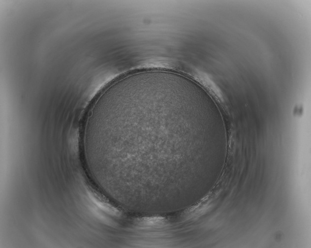 X0000093730108200710231159
