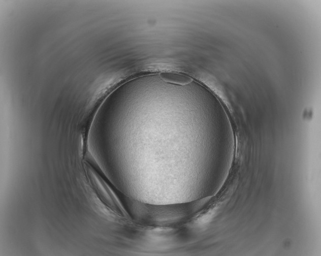 X0000093730109200710231159