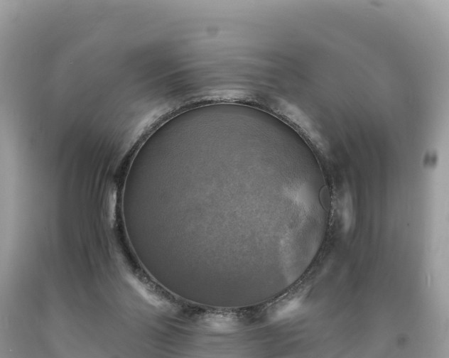 X0000093730110200710231159