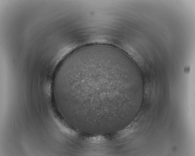 X0000093730112200710231159