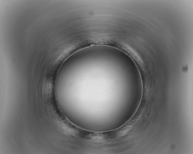 X0000093730113200710231159
