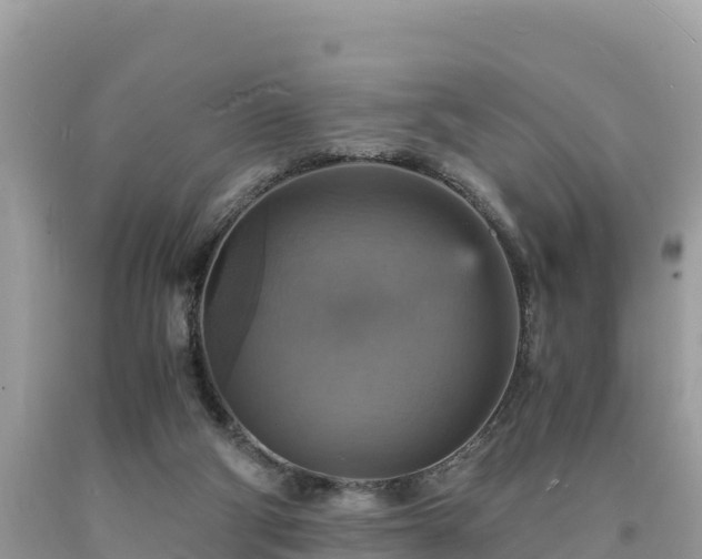 X0000093730114200710231159
