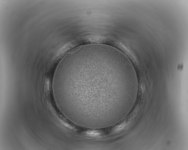 X0000093730117200710231159
