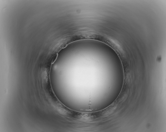 X0000093730121200710231159