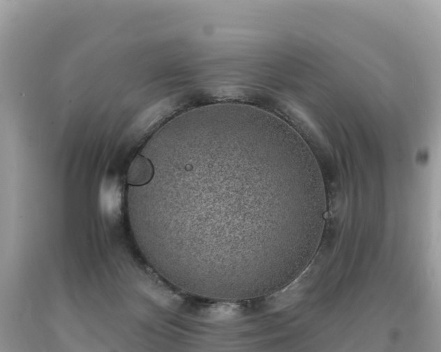 X0000093730124200710231159