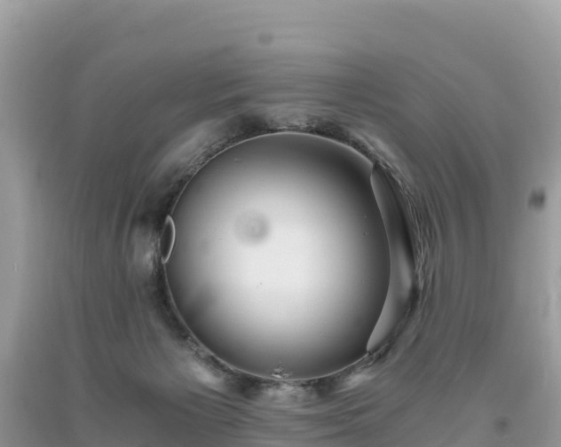 X0000093730125200710231159