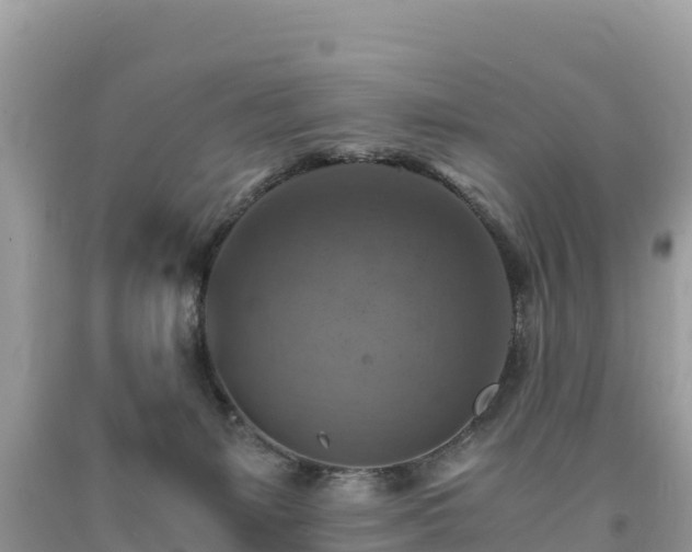 X0000093730127200710231159
