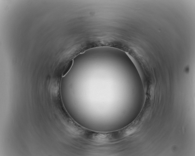 X0000093730129200710231159