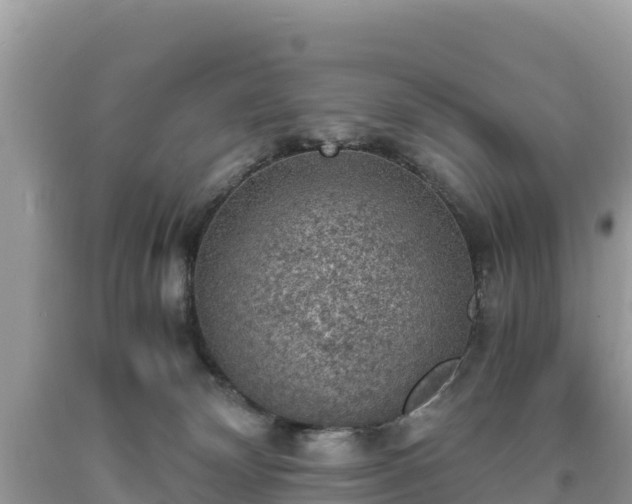 X0000093730132200710231159
