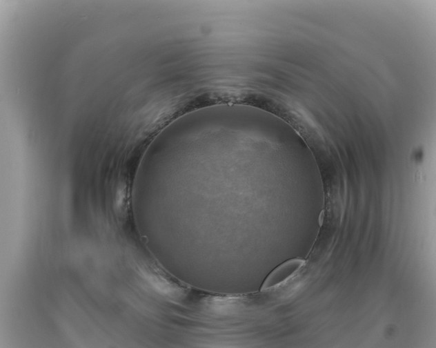 X0000093730134200710231159