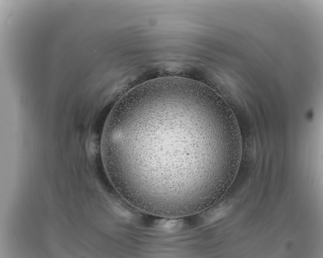 X0000093730135200710231159