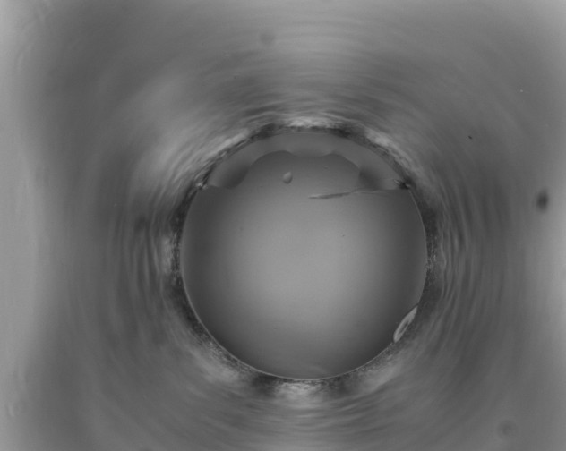 X0000093730139200710231159