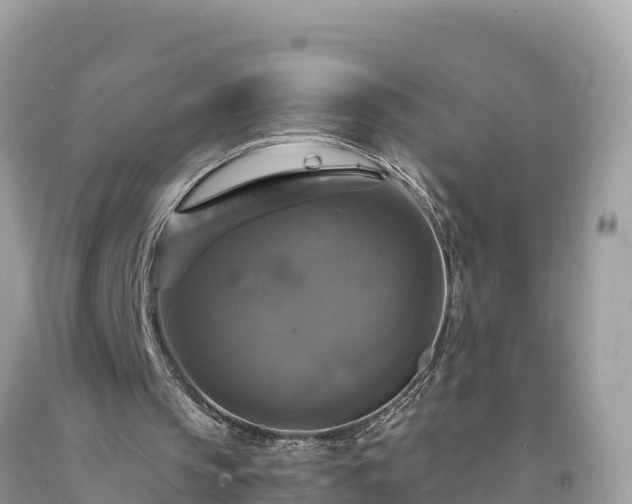 X0000093730145200710231158