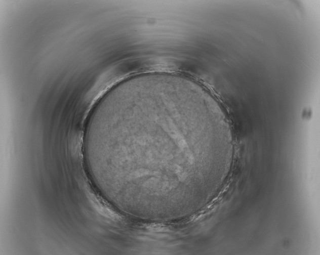 X0000093730146200710231158