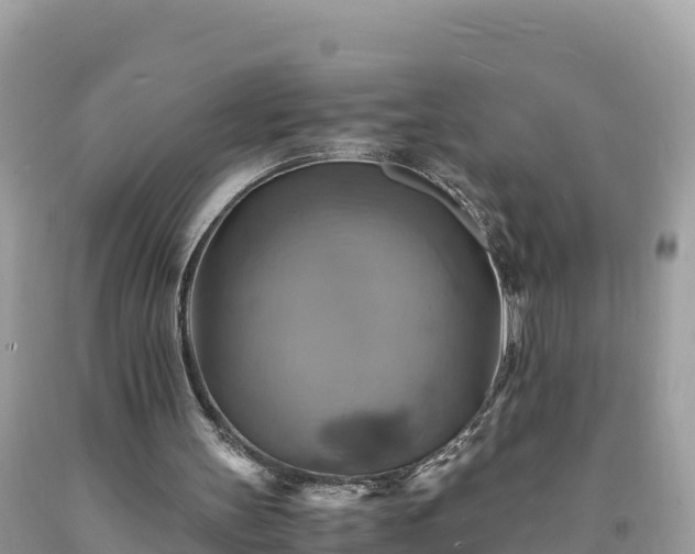 X0000093730147200710231158