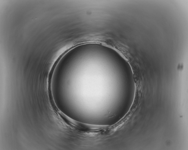 X0000093730148200710231158