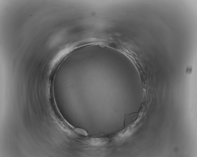 X0000093730149200710231158