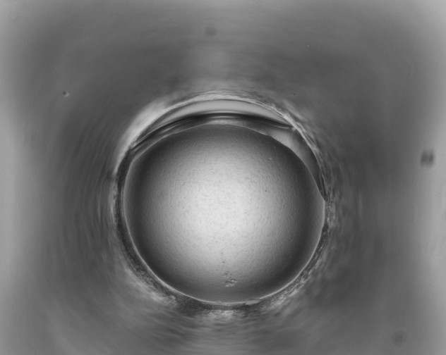 X0000093730152200710231158