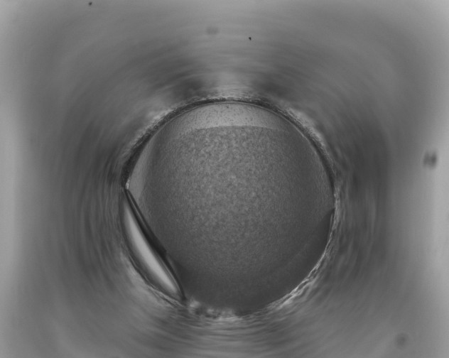X0000093730154200710231158