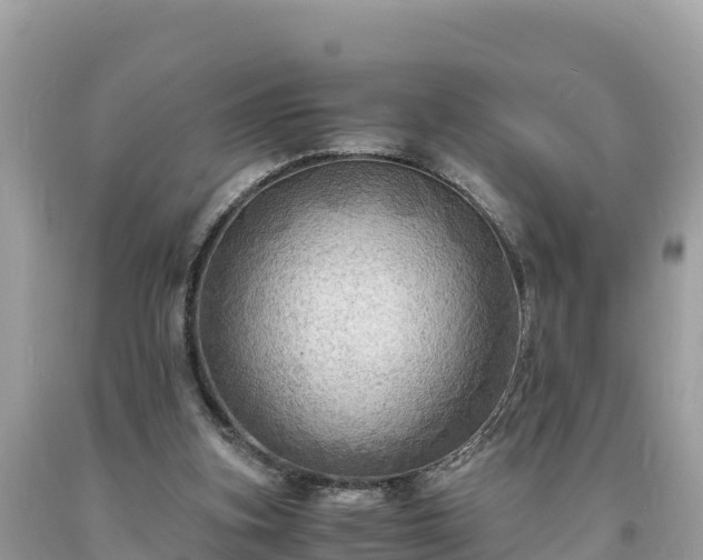 X0000093730155200710231158