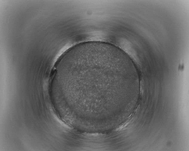 X0000093730156200710231158