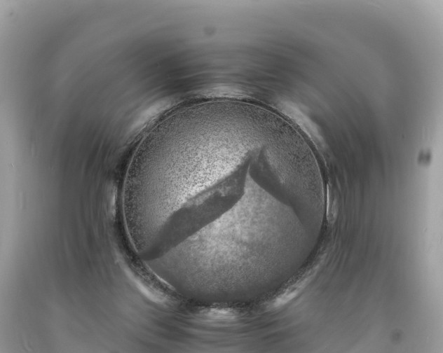 X0000093730157200710231158