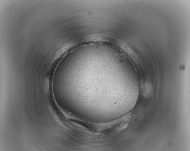 X0000093730158200710231158