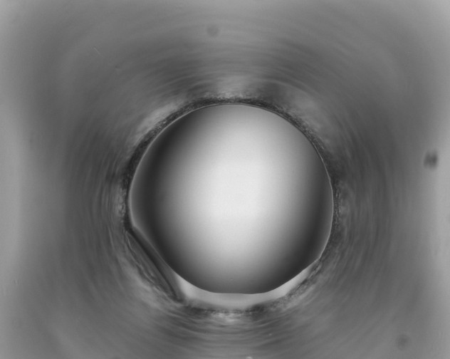 X0000093730164200710231158