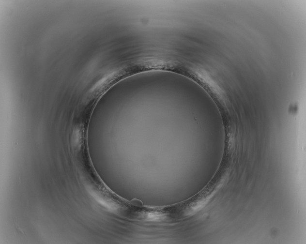 X0000093730165200710231158