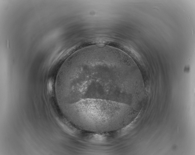 X0000093730166200710231158