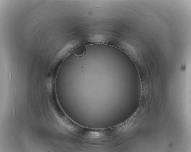 X0000093730167200710231158
