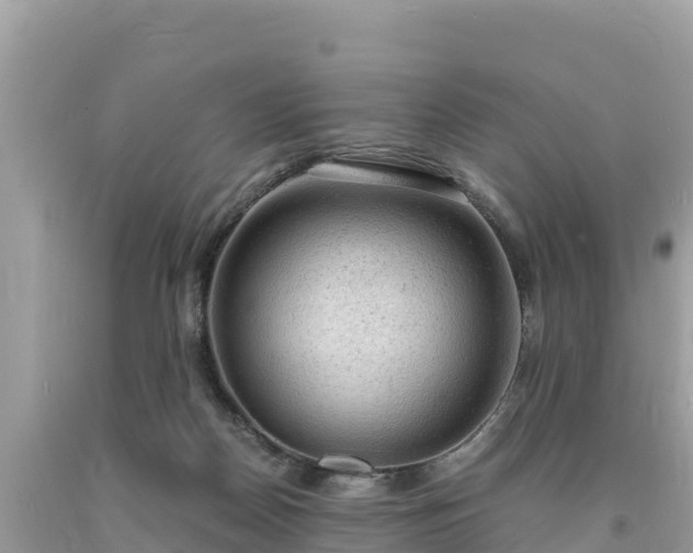 X0000093730170200710231158