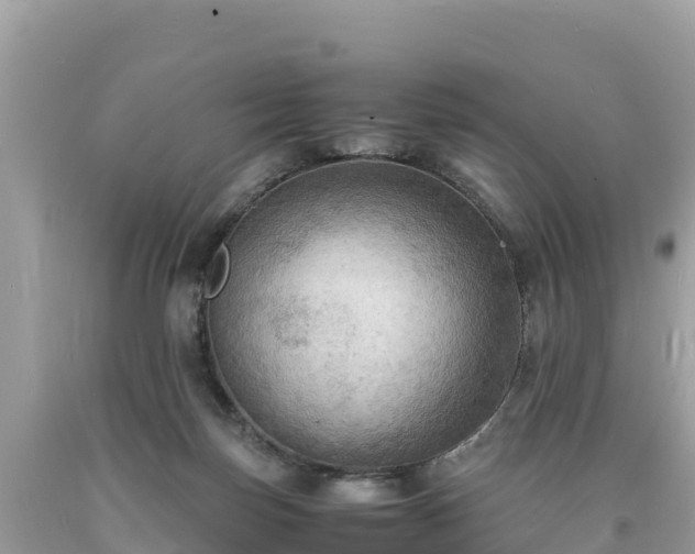 X0000093730171200710231158