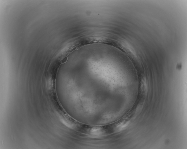 X0000093730173200710231158