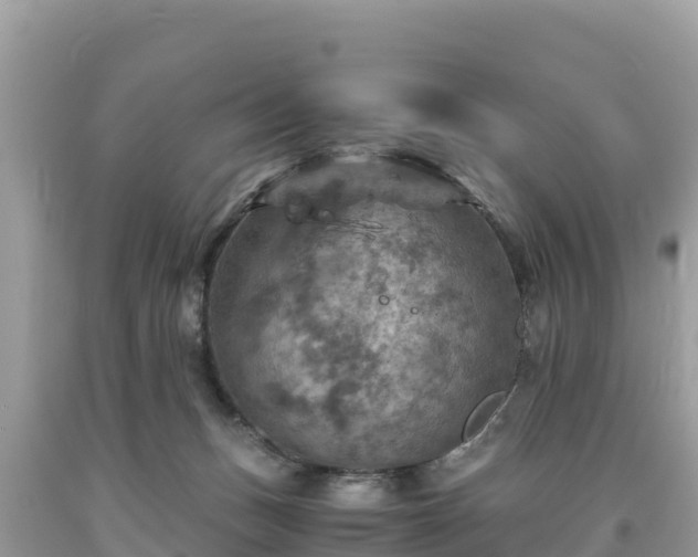 X0000093730175200710231158