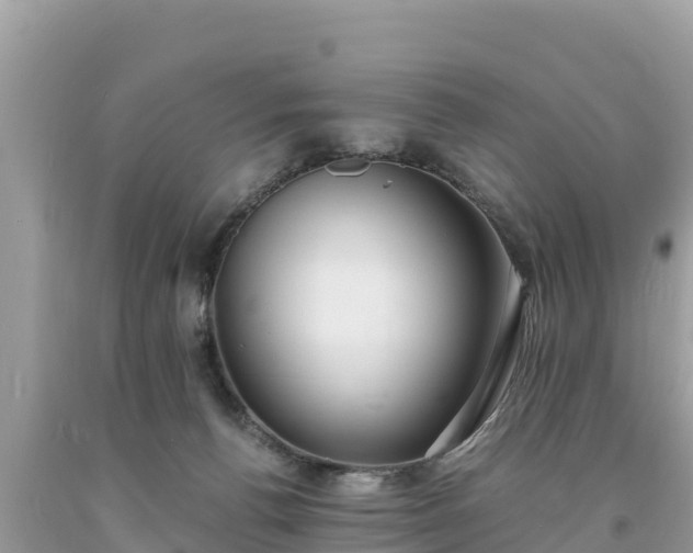 X0000093730176200710231158