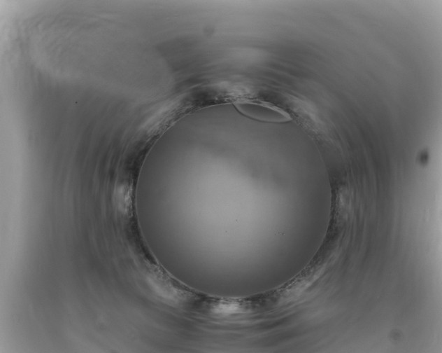 X0000093730177200710231158