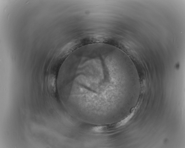 X0000093730178200710231158