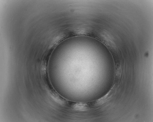 X0000093730179200710231158
