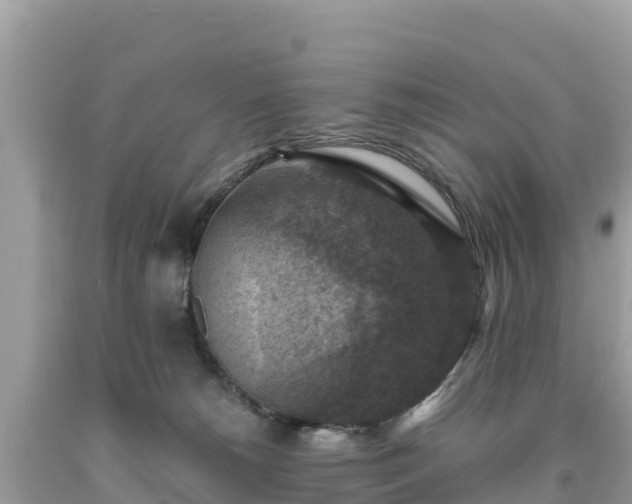 X0000093730180200710231158